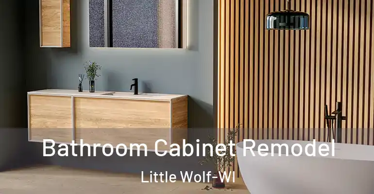 inner Bathroom imggen Bathroom Cabinet Remodel Little Wolf-WI