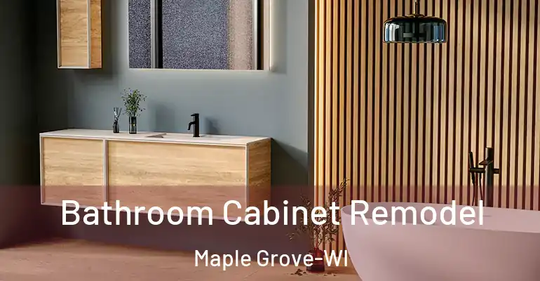 inner Bathroom imggen Bathroom Cabinet Remodel Maple Grove-WI