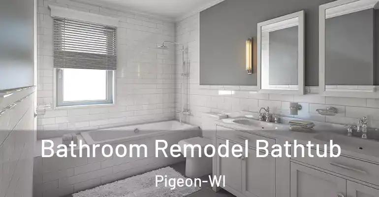 inner Bathroom imggen Bathroom Remodel Bathtub Pigeon-WI