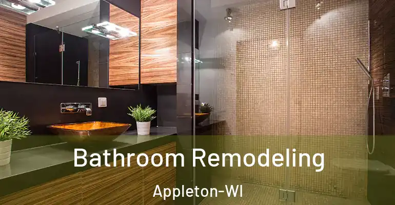 inner Bathroom imggen Bathroom Remodeling Appleton-WI