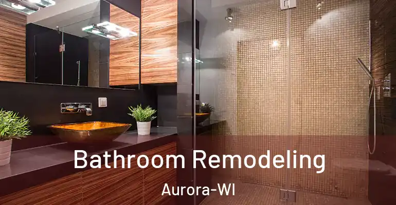 inner Bathroom imggen Bathroom Remodeling Aurora-WI