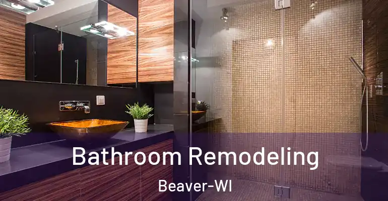 inner Bathroom imggen Bathroom Remodeling Beaver-WI