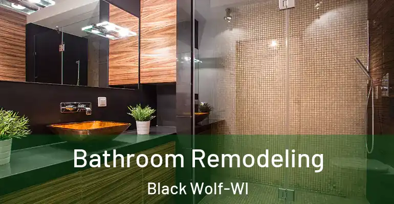 inner Bathroom imggen Bathroom Remodeling Black Wolf-WI