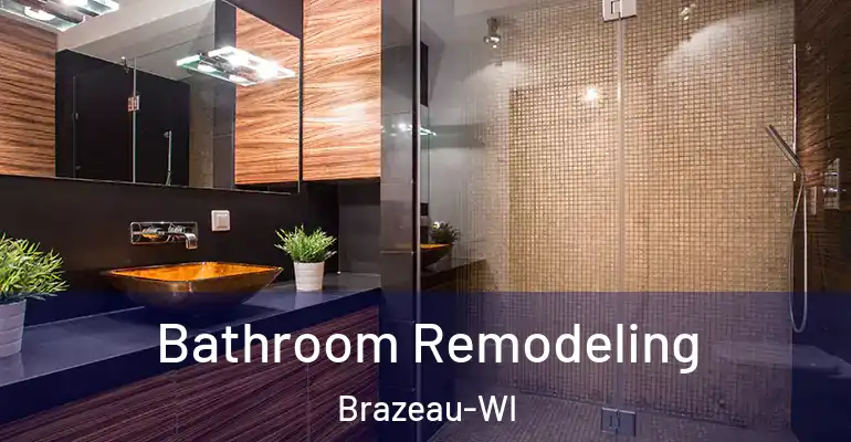 inner Bathroom imggen Bathroom Remodeling Brazeau-WI