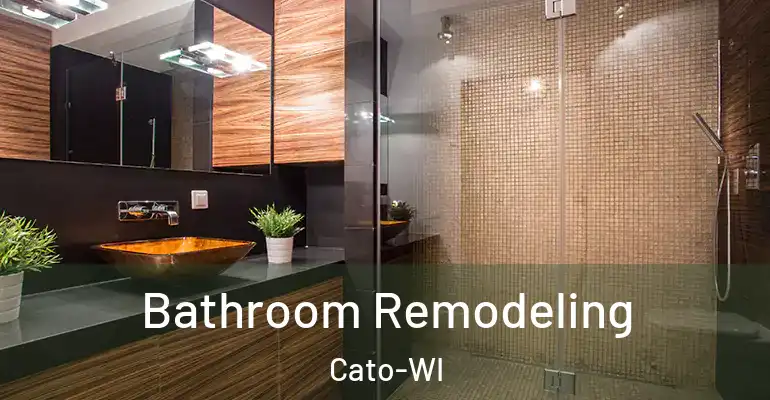 inner Bathroom imggen Bathroom Remodeling Cato-WI