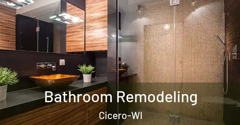 inner Bathroom imggen Bathroom Remodeling Cicero-WI