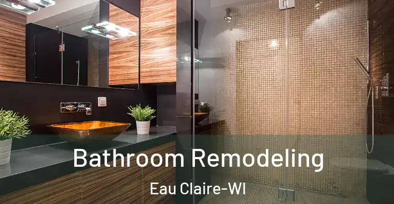 inner Bathroom imggen Bathroom Remodeling Eau Claire-WI