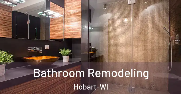 inner Bathroom imggen Bathroom Remodeling Hobart-WI