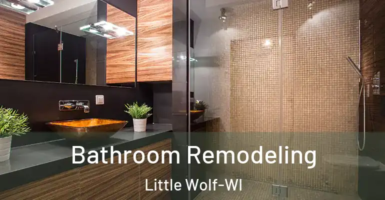 inner Bathroom imggen Bathroom Remodeling Little Wolf-WI