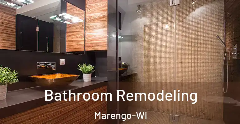 inner Bathroom imggen Bathroom Remodeling Marengo-WI