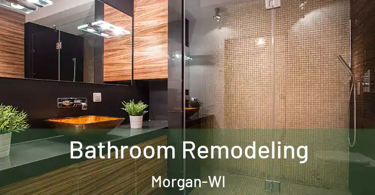 inner Bathroom imggen Bathroom Remodeling Morgan-WI