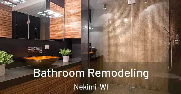 inner Bathroom imggen Bathroom Remodeling Nekimi-WI