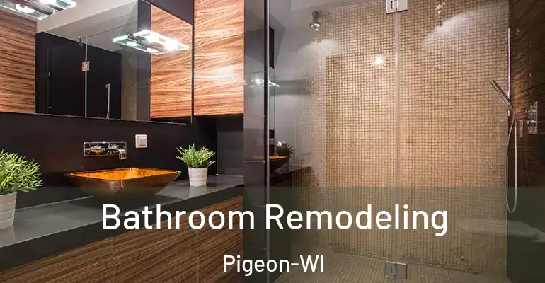 inner Bathroom imggen Bathroom Remodeling Pigeon-WI