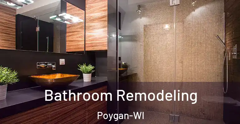 inner Bathroom imggen Bathroom Remodeling Poygan-WI