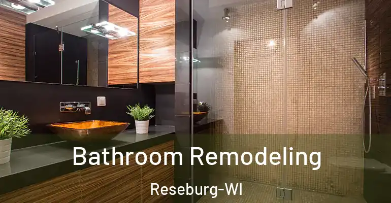 inner Bathroom imggen Bathroom Remodeling Reseburg-WI