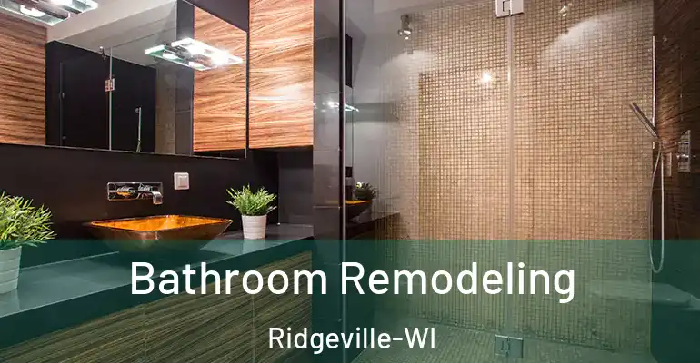 inner Bathroom imggen Bathroom Remodeling Ridgeville-WI