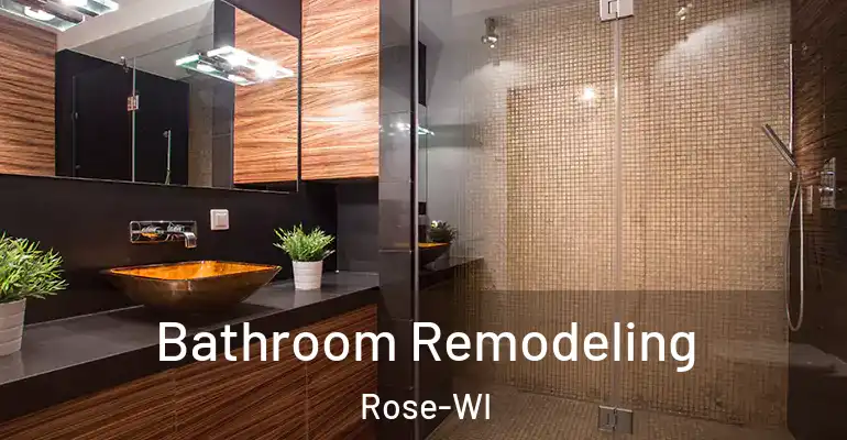inner Bathroom imggen Bathroom Remodeling Rose-WI