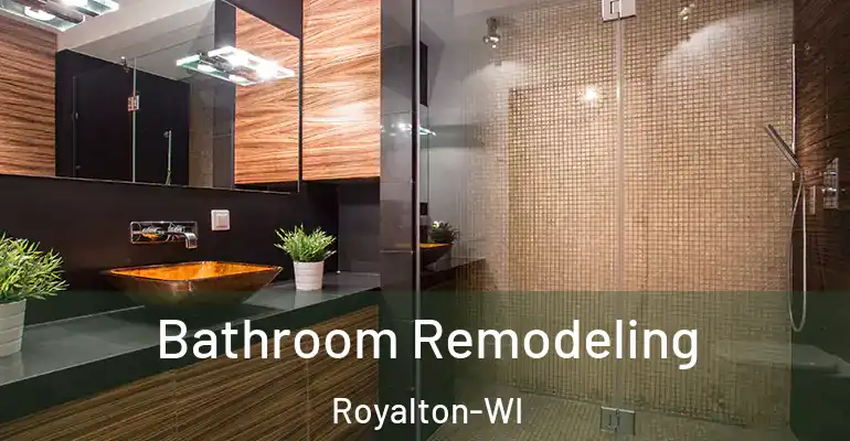 inner Bathroom imggen Bathroom Remodeling Royalton-WI