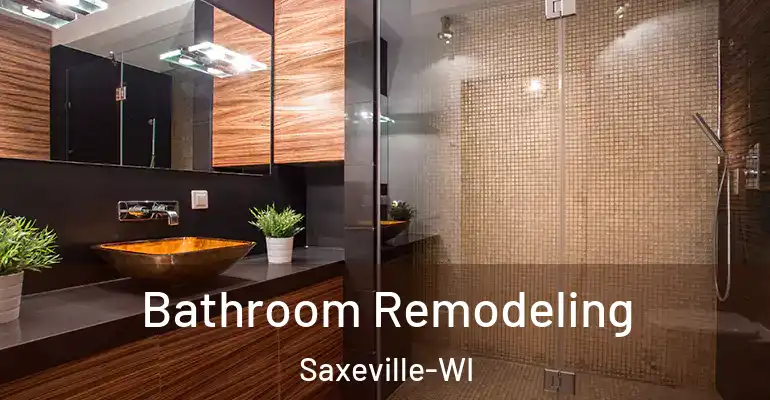 inner Bathroom imggen Bathroom Remodeling Saxeville-WI