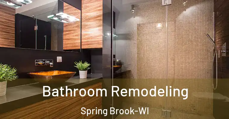 inner Bathroom imggen Bathroom Remodeling Spring Brook-WI