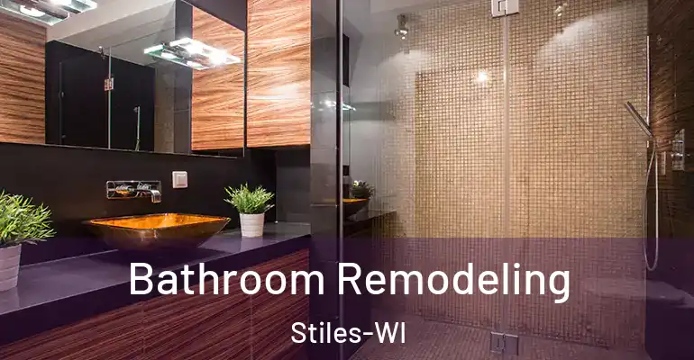 inner Bathroom imggen Bathroom Remodeling Stiles-WI
