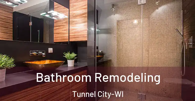 inner Bathroom imggen Bathroom Remodeling Tunnel City-WI