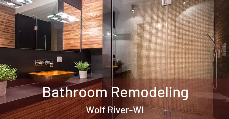 inner Bathroom imggen Bathroom Remodeling Wolf River-WI