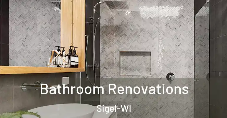 inner Bathroom imggen Bathroom Renovations Sigel-WI