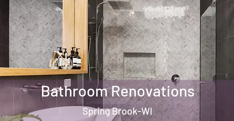 inner Bathroom imggen Bathroom Renovations Spring Brook-WI