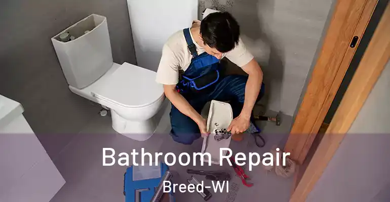 inner Bathroom imggen Bathroom Repair Breed-WI