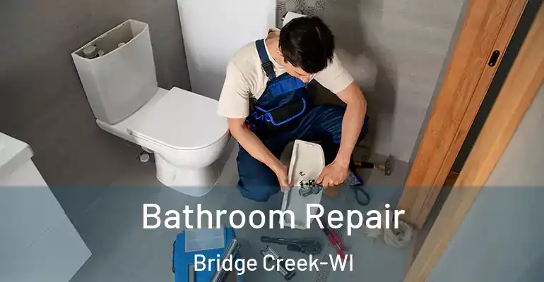 inner Bathroom imggen Bathroom Repair Bridge Creek-WI