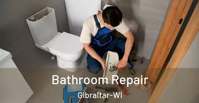 inner Bathroom imggen Bathroom Repair Gibraltar-WI