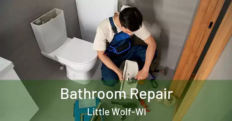 inner Bathroom imggen Bathroom Repair Little Wolf-WI