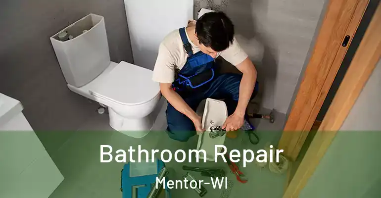 inner Bathroom imggen Bathroom Repair Mentor-WI