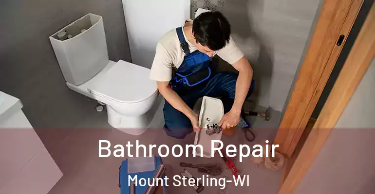 inner Bathroom imggen Bathroom Repair Mount Sterling-WI