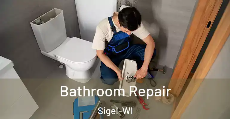 inner Bathroom imggen Bathroom Repair Sigel-WI