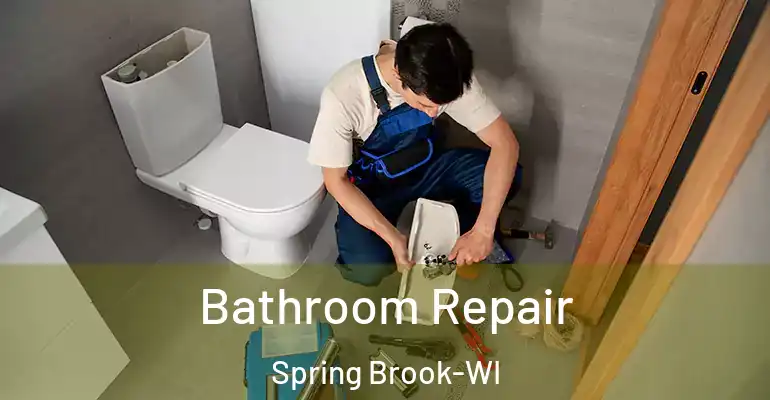 inner Bathroom imggen Bathroom Repair Spring Brook-WI