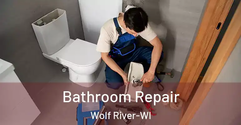 inner Bathroom imggen Bathroom Repair Wolf River-WI