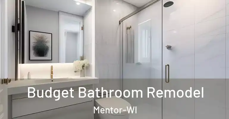 inner Bathroom imggen Budget Bathroom Remodel Mentor-WI