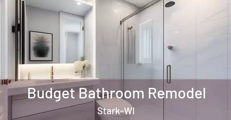 inner Bathroom imggen Budget Bathroom Remodel Stark-WI