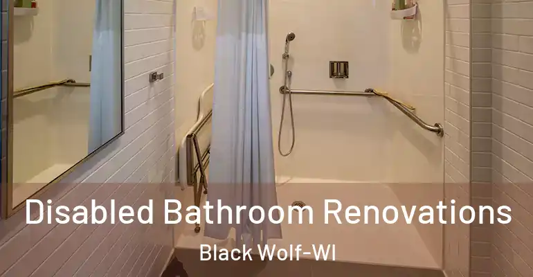 inner Bathroom imggen Disabled Bathroom Renovations Black Wolf-WI
