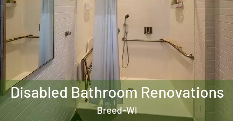 inner Bathroom imggen Disabled Bathroom Renovations Breed-WI