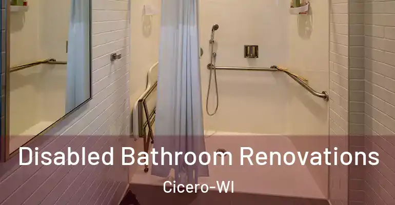 inner Bathroom imggen Disabled Bathroom Renovations Cicero-WI