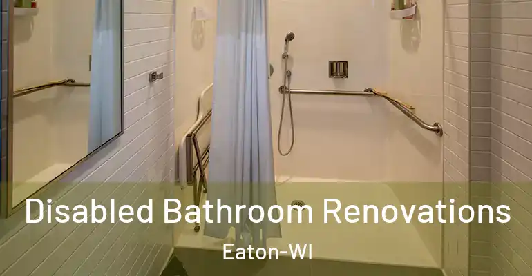 inner Bathroom imggen Disabled Bathroom Renovations Eaton-WI