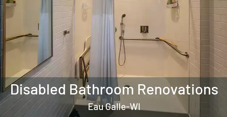 inner Bathroom imggen Disabled Bathroom Renovations Eau Galle-WI