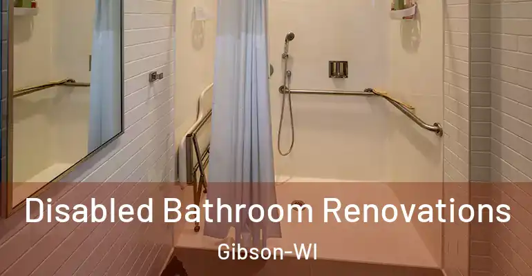 inner Bathroom imggen Disabled Bathroom Renovations Gibson-WI