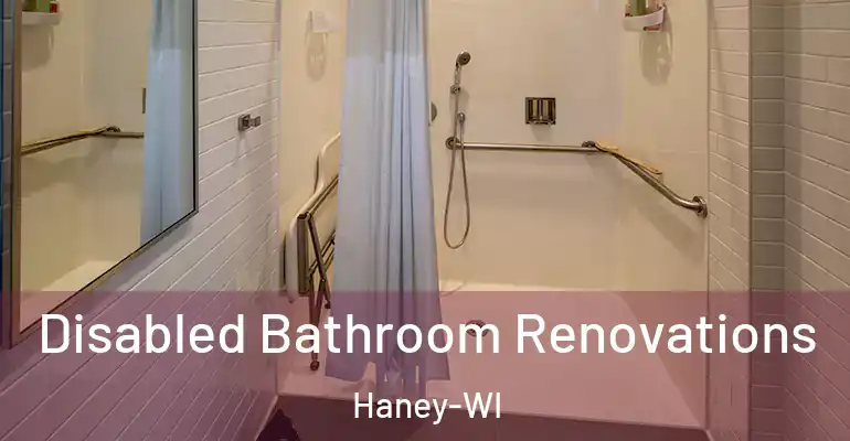 inner Bathroom imggen Disabled Bathroom Renovations Haney-WI