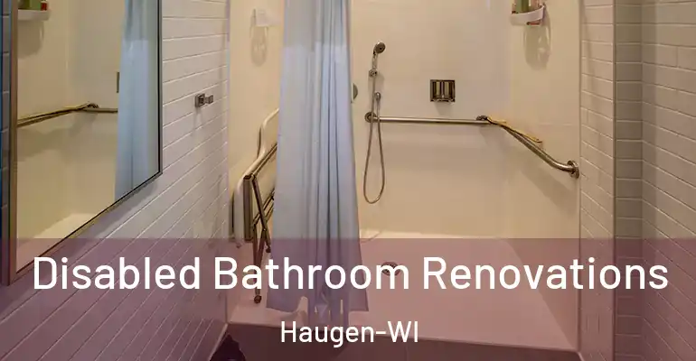 inner Bathroom imggen Disabled Bathroom Renovations Haugen-WI