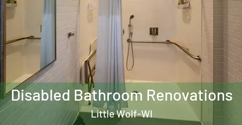 inner Bathroom imggen Disabled Bathroom Renovations Little Wolf-WI
