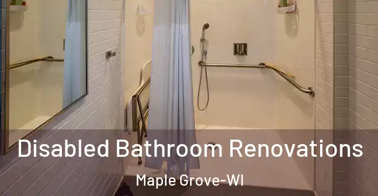inner Bathroom imggen Disabled Bathroom Renovations Maple Grove-WI